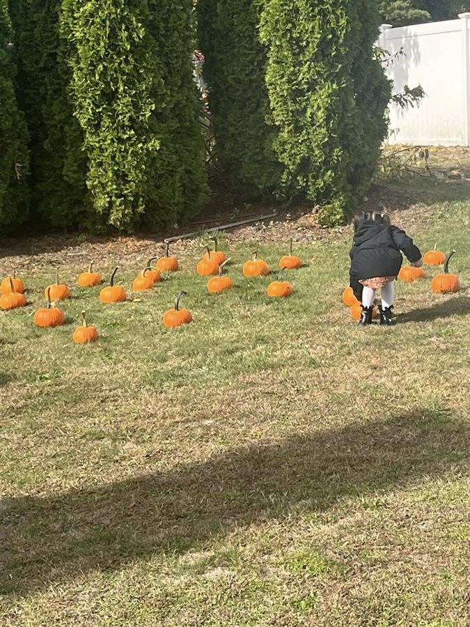 Fall Festival Picture 3